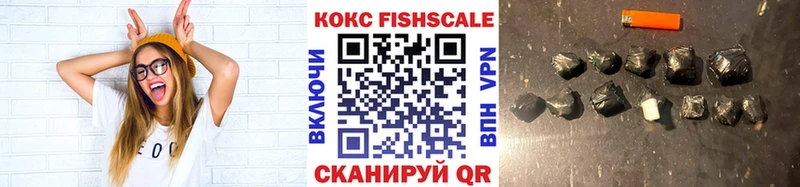 COCAIN FishScale  Купить закладки  Нерехта 