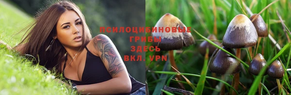 ALPHA-PVP Армянск