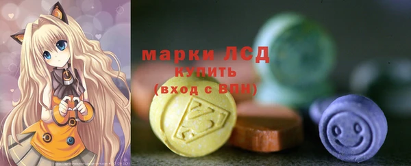 винт Аркадак